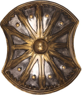 Verkleed speelgoed Ridders/Vikingen wapens - Schild - kunststof - xxx - volwassenen
