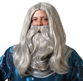 Verkleedpruik met baard heren - grijs - Middeleeuwen/tovenaar - Carnaval - lang haar