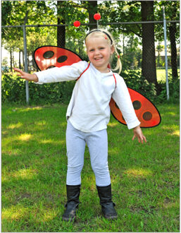 verkleedset lieveheersbeestje