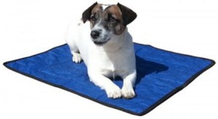 Verkoelende Hondenmat - 60 x 50 cm - Blauw