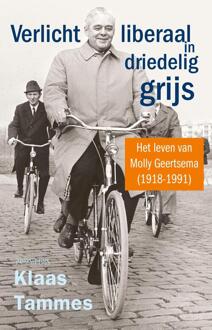 Verlicht liberaal in driedelig grijs -  Klaas Tammes (ISBN: 9789044655292)