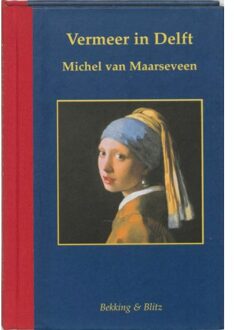 Vermeer in Delft - Boek Michel van Maarseveen (9061095735)