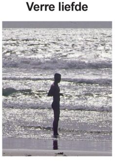 Verre Liefde - Pieter Van Buuren