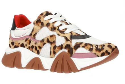 Versace Squalo Luipaard Sneakers - maat Beige