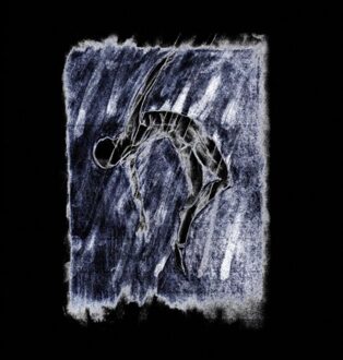 Verste Verte Is Hier