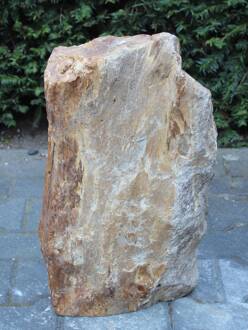 Versteend hout MA-01, 53 cm