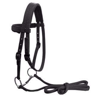 Verstelbare Paardrijden Apparatuur Halter Paard Hoofdstel Met Bit En Rein Riem Voor Paard Paardensport Accessoires Soft Thicken Grote
