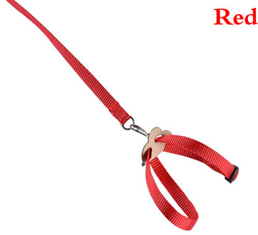 Verstelbare Parrot Leash Bird Harness Training Touw Outdoor Vliegende Touw Voor Valkparkiet Kleine Vogels Dierbenodigdheden Multi Kleur 03