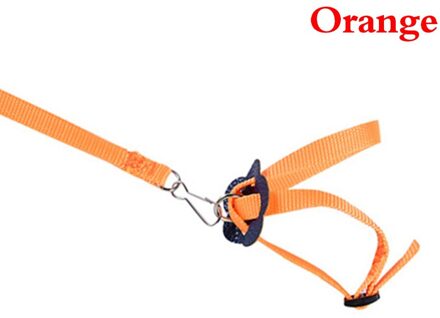 Verstelbare Parrot Leash Bird Harness Training Touw Outdoor Vliegende Touw Voor Valkparkiet Kleine Vogels Dierbenodigdheden Multi Kleur 05