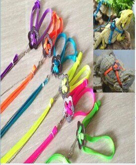 Verstelbare Reptiel Hagedis Harness Leash Verstelbare Multicolor Licht Zacht Leash groen