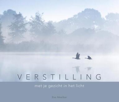 Verstilling - Bas Meelker