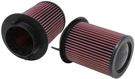 vervangingsfilter Audi R8 4.2L V8 2009-2012 (Set 2 stuks) (E-0668)