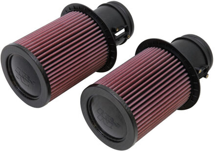 vervangingsfilter Audi R8 5.2L V10 2009-2012 (2 per box) (E-0669)