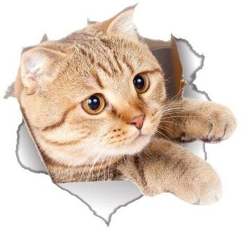 Verwijderbare Muurstickers Kat Wc Wc Waterdichte Wc Stickers Kittens bruin