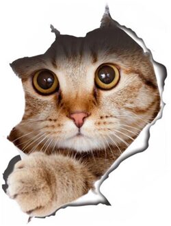 Verwijderbare Muurstickers Kat Wc Wc Waterdichte Wc Stickers Kittens khaki