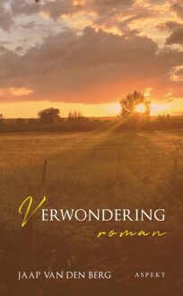 Verwondering - Jaap van den Berg - ebook