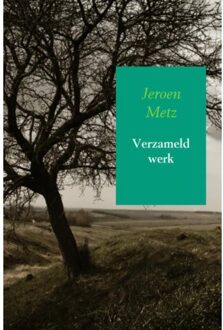 Verzameld werk - Boek Jeroen Metz (9463428712)