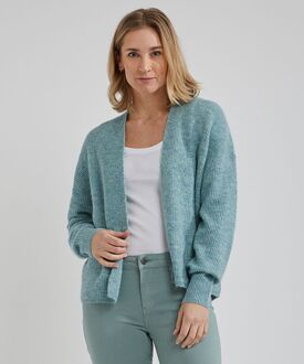 Vest Veerle Dames Lichtblauw