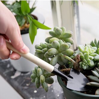 Vetplant Gereedschappen Mini Tuin Handgereedschap Set Transplanteren Gereedschap Miniatuur Planten Set Indoor Miniatuur Tuinieren Tool # J20