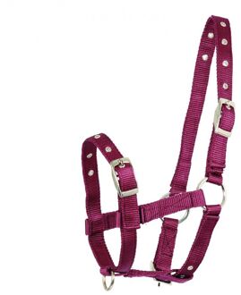 Veulenhalster - Verstelbaar - Veulen - Rood