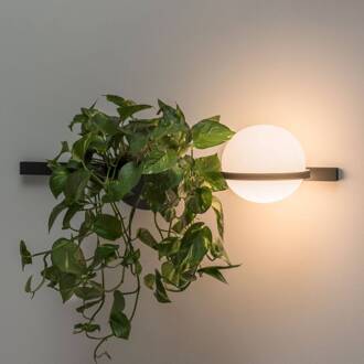 Vibia Palma 3702 wandlamp, plantenschaal, grafiet