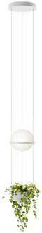 Vibia Palma 3724 hanglamp, plantenschaal, wit wit, opaalwit