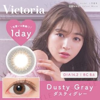 Victoria 1 Day Color Lens Dusty Gray 10 pcs P-3.75 (10 pcs)