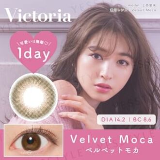 Victoria 1 Day Color Lens Velvet Moca 10 pcs P-1.50 (10 pcs)