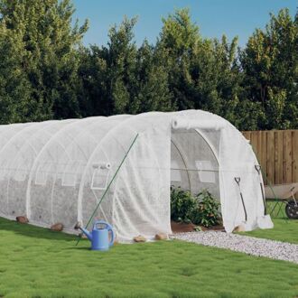 vidaXL Broeikas - 10x3x2m - PE - Gegalvaniseerd Staal - UV- Weerbestendig - Met 2 Ritsen