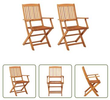 vidaXL Eucalyptushouten Klapstoelen - 53 x 57 x 91 cm - Weerbestendig - Set van 2 Bruin