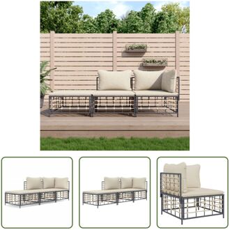 vidaXL Hoekbank Antraciet Poly Rattan - 72x72x66 cm - weerbestendig Grijs