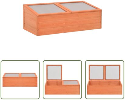 vidaXL Houten Broeikas - 100 x 50 x 34 cm - PC platen - Waterbestendig