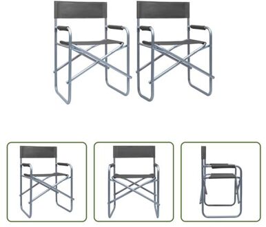 vidaXL Regisseursstoel - Inklapbaar - Grijs - Staal - 48 x 57 x 79 cm