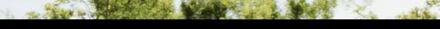 vidaXL tuinset Brava - Tuinstoel en tafel - 48x55x88 cm - Grijs - Donkergrijs