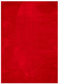 vidaXL Vloerkleed HUARTE laagpolig zacht wasbaar 120x170 cm rood