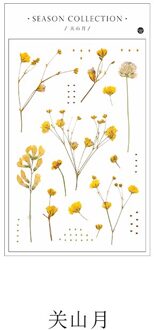 Vier seizoenen collector series Journal Decoratieve Stickers Scrapbooking Stok Label Dagboek Briefpapier Album Plant bladeren Sticker 8