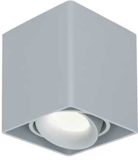 Vierkante LED Opbouwspot Esto - Kantelbaar - Dimbaar - 4000K neutraal wit - 4 Watt 345 Lumen - GU10 - Plafondspot - Voor binnen - Vervangbare afdekring - Grijs