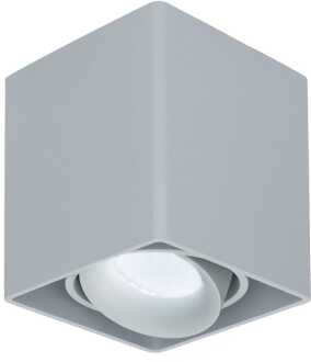 Vierkante LED Opbouwspot Esto - Kantelbaar - Dimbaar - 6500K daglicht wit - 4 Watt 345 Lumen- GU10 - Plafondspot - Voor binnen - Vervangbare afdekring - Grijs