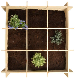 Vierkante Meter Moestuinbak ? 100 x 100 x 20 cm ? Vurenhout ? 9 vakken ? Incl. worteldoek