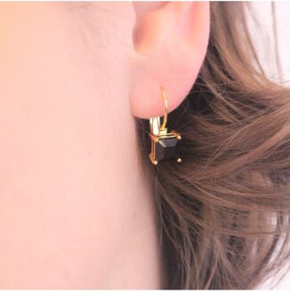 Vierkante oorbellen - Oostenrijks kristal - maat Zwart/goud