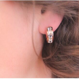 Vierkante oorringen - Oostenrijks kristal Wit en roségoud - One Size