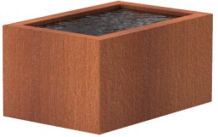 Vijver cortenstaal 120 x 80 x 60 cm