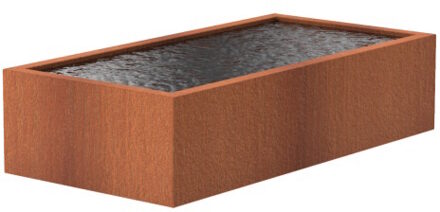 Vijver cortenstaal 250 x 125 x 60 cm