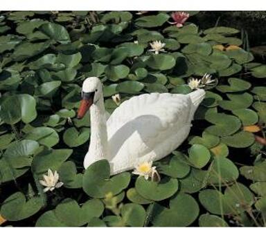 Vijverornament witte zwaan kunststof