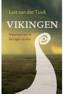 Vikingen - Boek Luit van der Tuuk (9401906823)