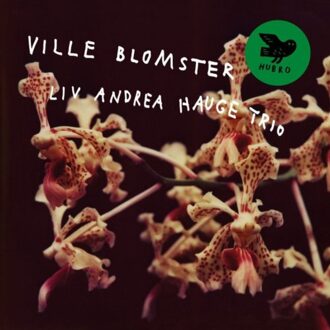Ville Blomster - Liv Andrea Hauge Trio
