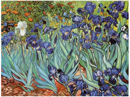 Vincent Van Gogh - Iris Kunstdruk 30x24cm