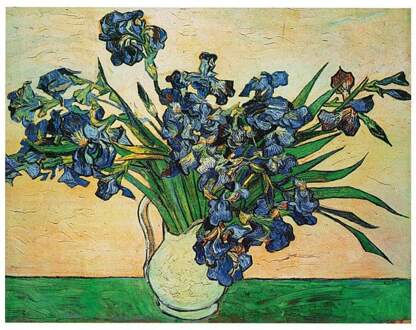 Vincent Van Gogh - Iris Strauss, 1890 Kunstdruk 50x40cm