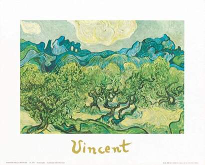 Vincent Van Gogh - Landscapes With Olive Trees Kunstdruk 30x24cm