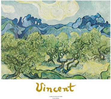 Vincent Van Gogh - Landscapes With Olive Trees Kunstdruk 70x50cm